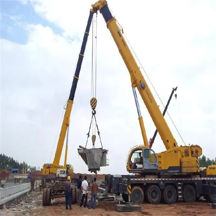 信丰小型吊机出租电话|厂房设备吊装方案|24小时服务覆盖